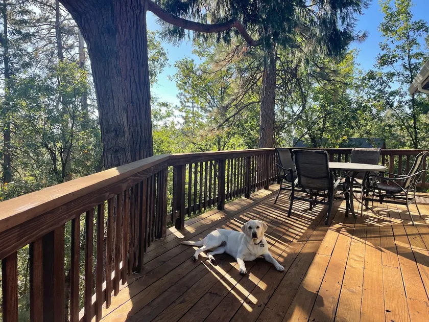 *An Acre of Nature* Central A/C, Close to Lakes - Image 1
