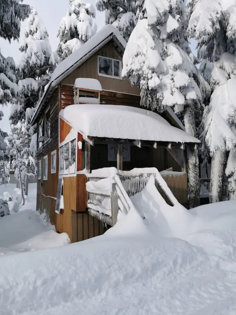 Mount Cain - Malcolm Island's Alpine Cabin - Image 1