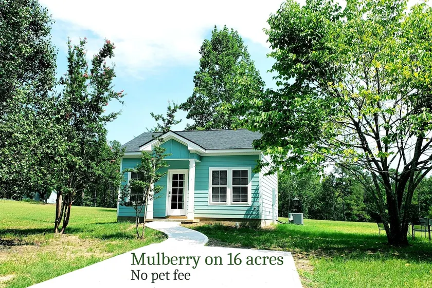 Mulberry Cottage on 16 Acres, King Size Bed, No Pet Fee - Image 1