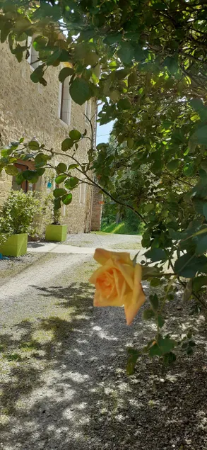 Description of the gîte des Papillons - Image 1