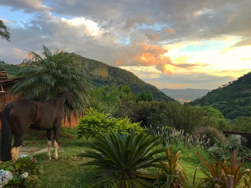 Alto Dos Pinheiros country house. - Image 1