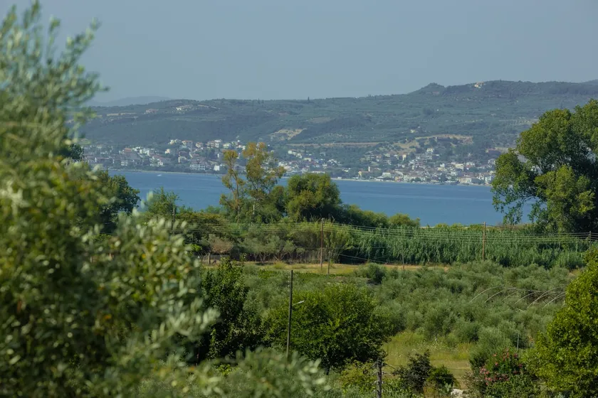 At The Messinian's Bay - Image 1