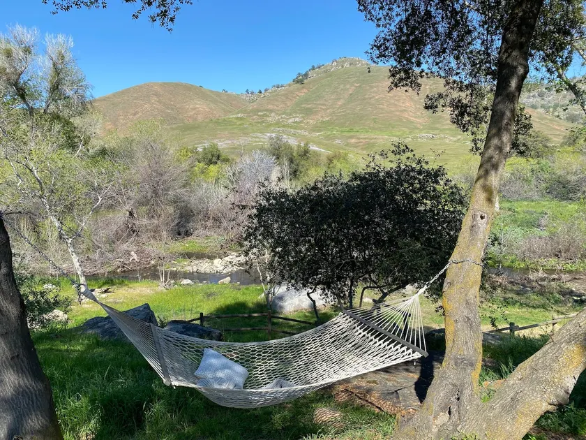 Riverfront Cottage - Amazing Views & King Bed - Image 1