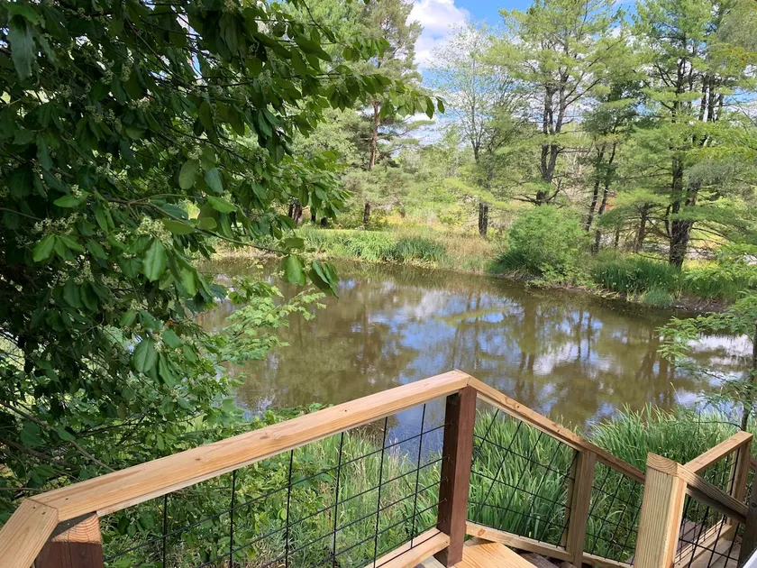 Tree house in Ithaca - Image 1