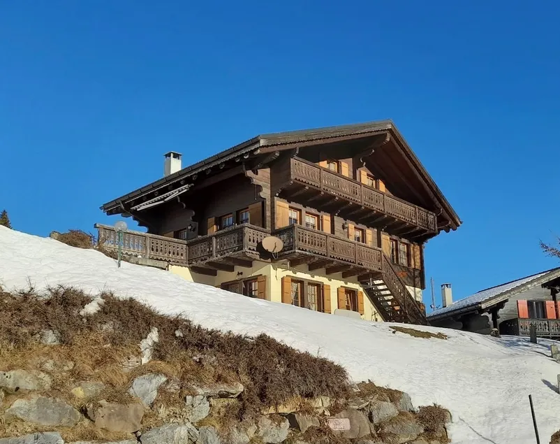 Beautiful chalet on the slopes - Image 1