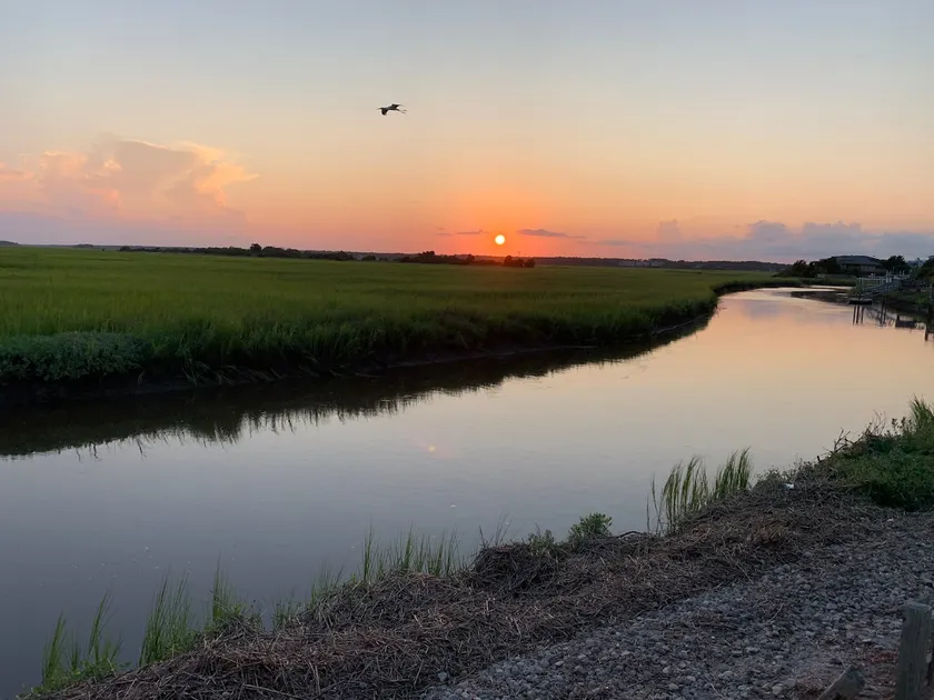 Sunset Grace - Image 1