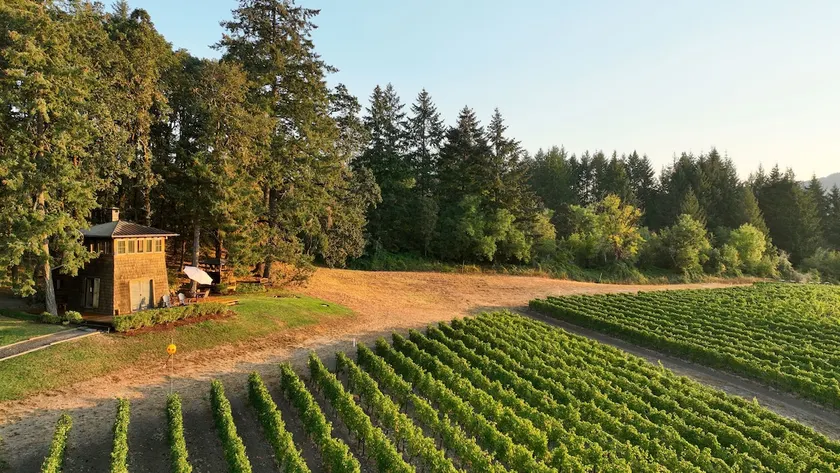 Great Cabin- Heart Of Wine Country! - Image 1