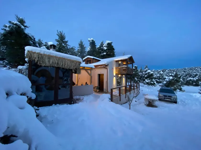 The house in the forest. The house in forest - Image 1