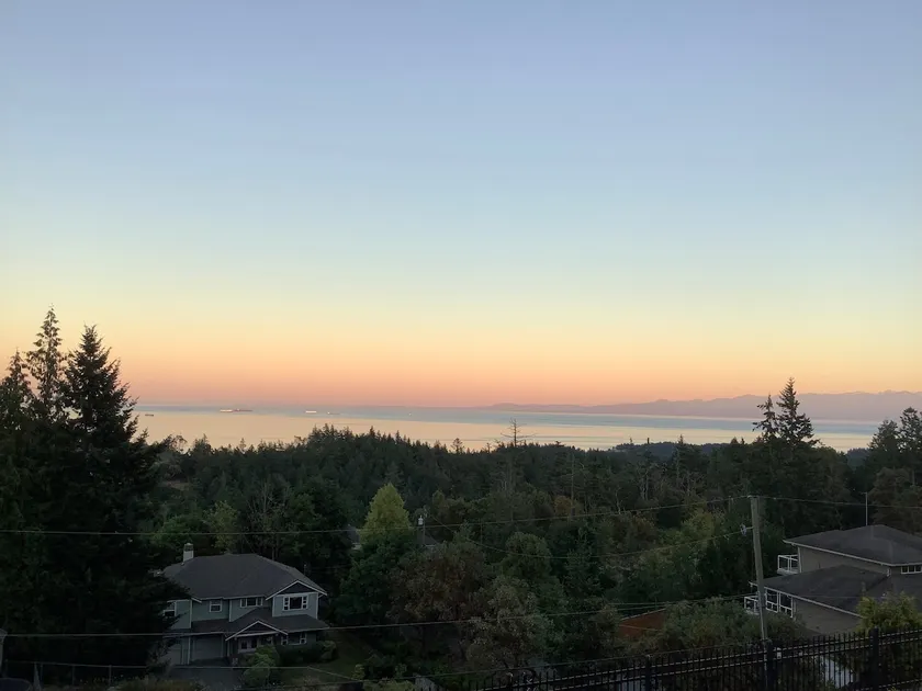 The Lookout - Image 1