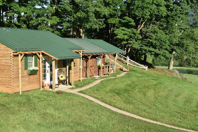 Blue Ridge Mountain Cabin - Image 1