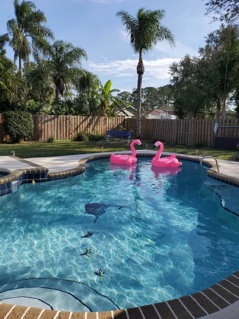 Private Palm Tree Oasis Saltwater Pool & Spa - Image 1