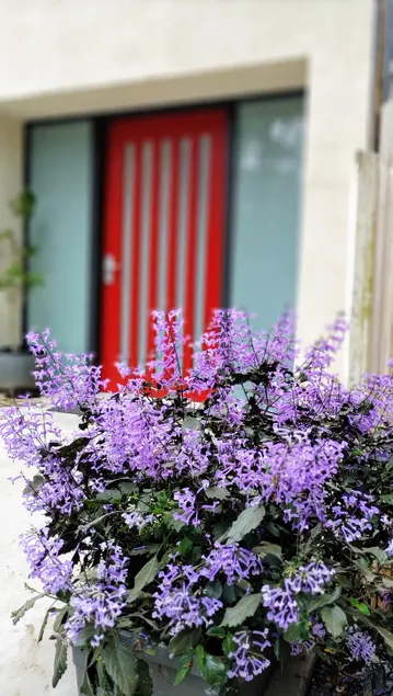 Self Contained Pet Friendly Guesthouse ”The Perch” - Image 1