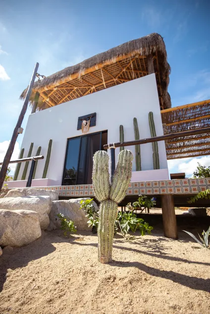 Casa Coatli, B&B, Rooftop terrace, Bar/ Restaurant - Image 1