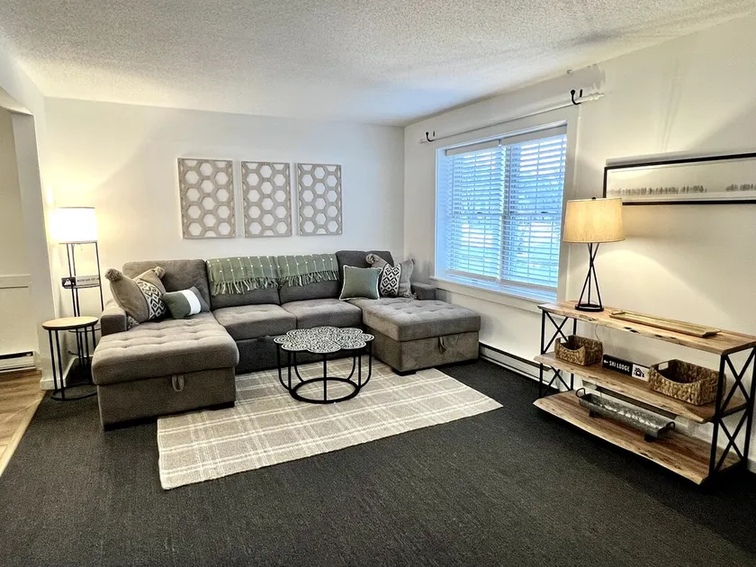 Updated Two Bedroom Condo in Heart of Ludlow - Image 1