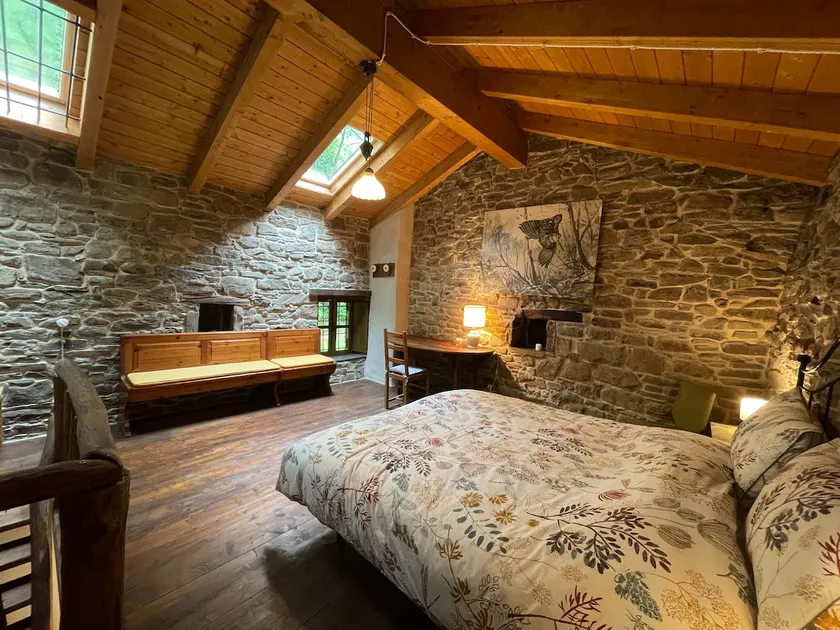 Cottage in the woods - Image 1