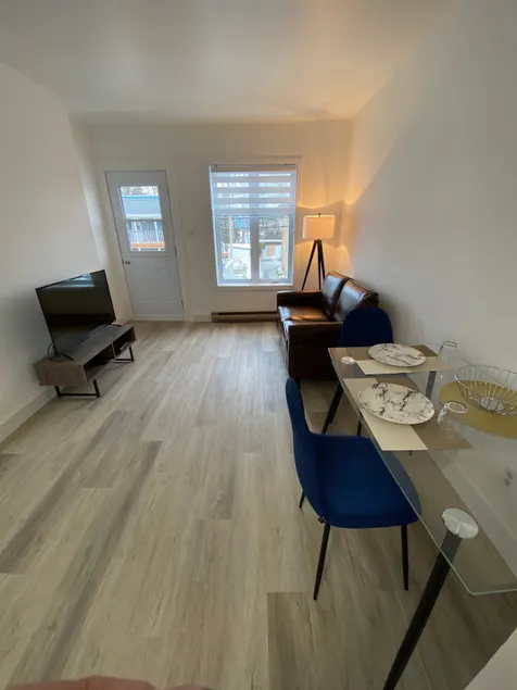 Renovated downtown condo - Image 1