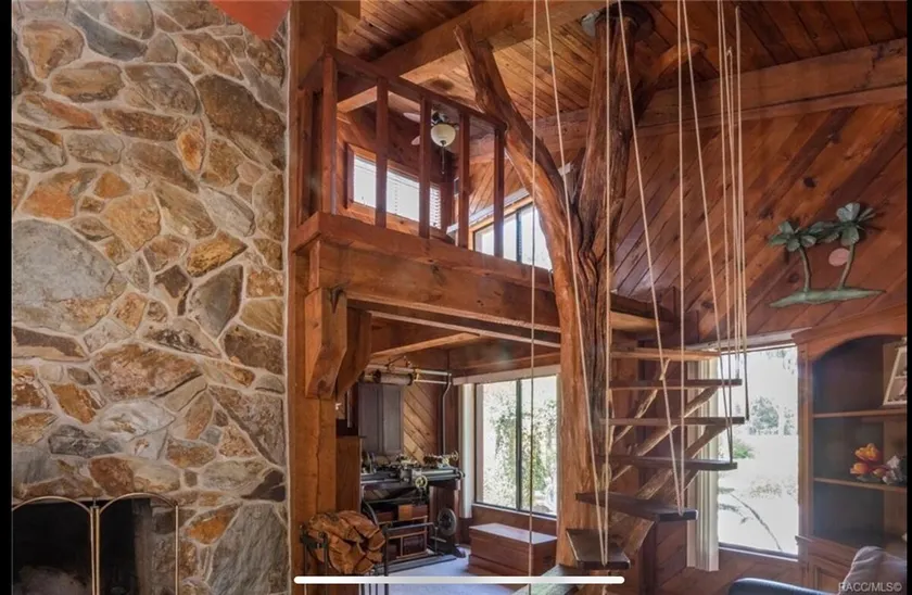 Unique Treehouse on the River - Image 1