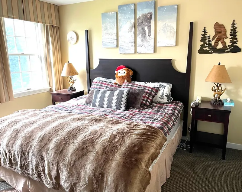 Deluxe Yeti Suite on Jiminy Mtn -1st Flr Sleeps 4 - Image 1