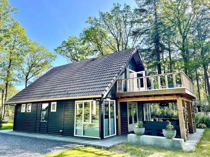Luxury forest villa for rent for relaxation & sports - Image 1
