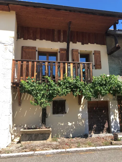 Lucie's wine press among the vines - Image 1