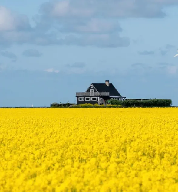 Charming guest house near the beaches of Näset. - Image 1
