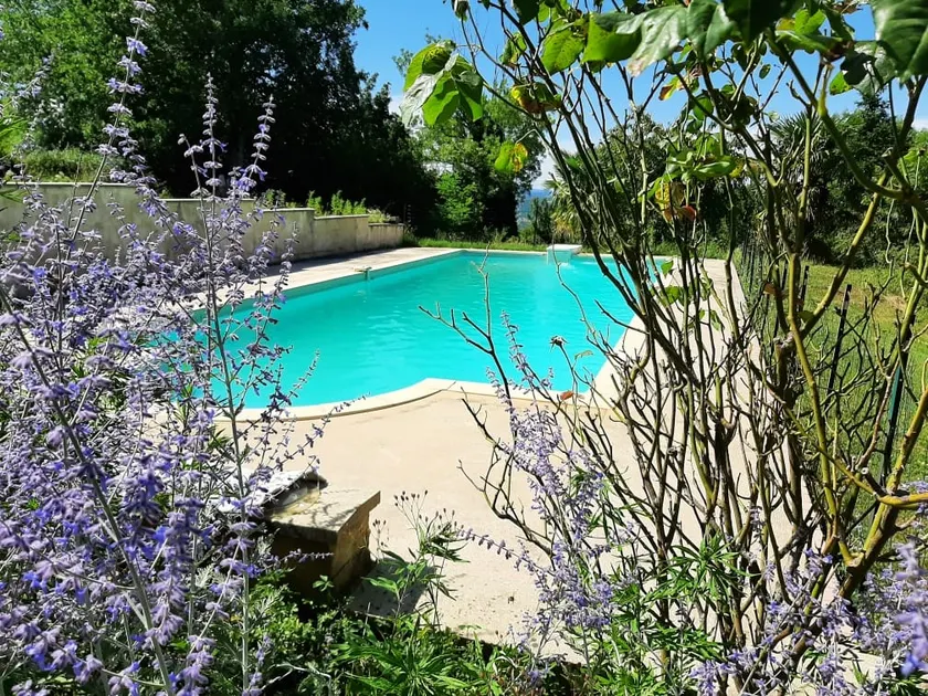 F2 independent with pool - Image 1