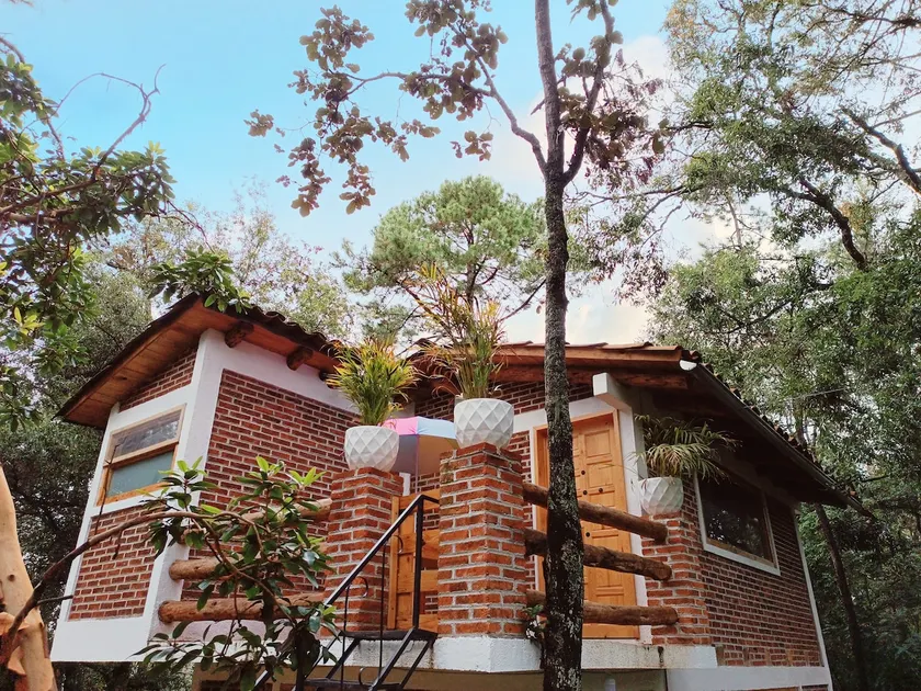 Cabin for couples - Image 1