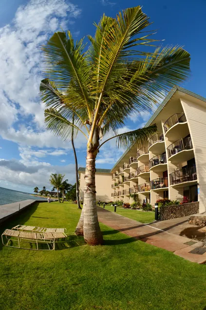Affordable oceanfront 1BR. Stunning view, beaches - Image 1
