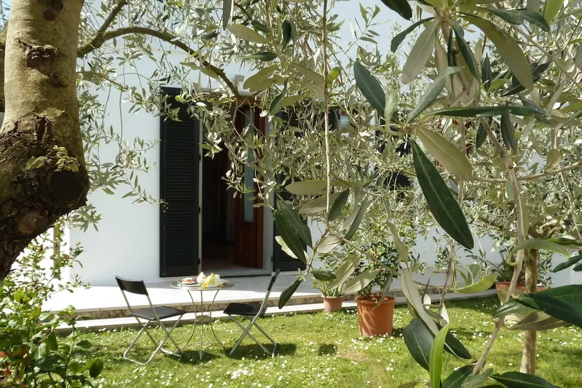 Apartment 5 5 3 - Image 1