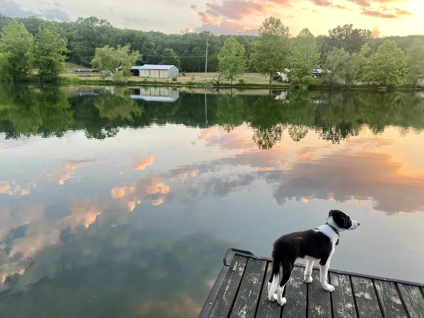 10 acre private lake, 80 acres, trails, 4 bedrooms - Image 1