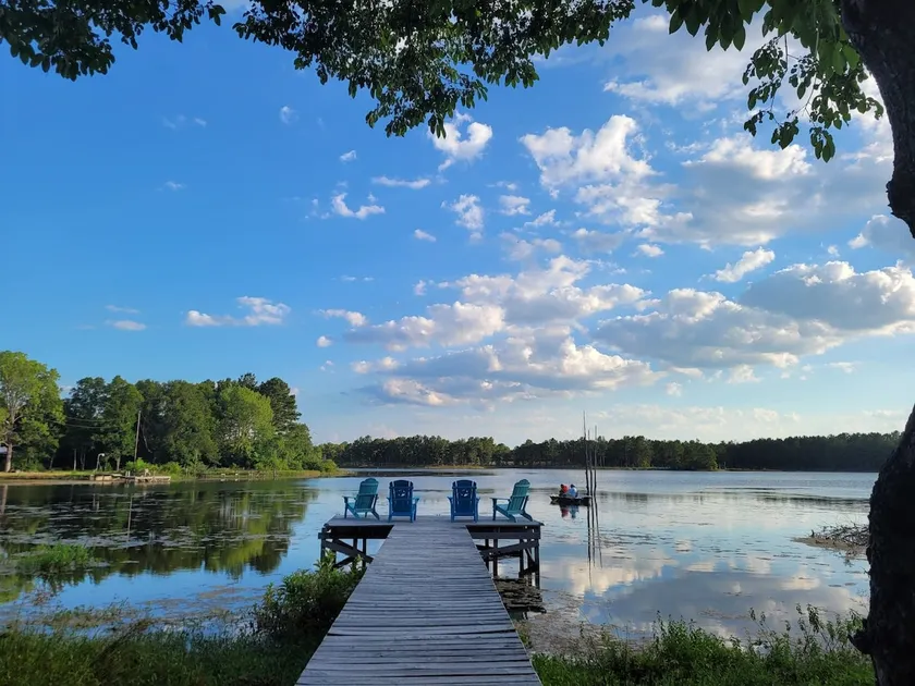 Relaxing newly-renovated 3/2 lakeside retreat with private dock - Image 1
