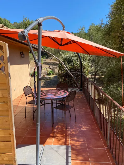 Large studio rental amid olive trees - Image 1