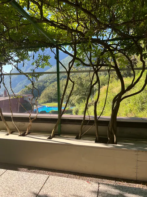 Belvedere Lake Apartment - Image 1