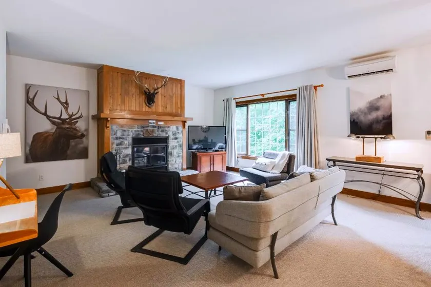 Condo - on the mountain, surrounded by nature, Ski-in/out - Image 1