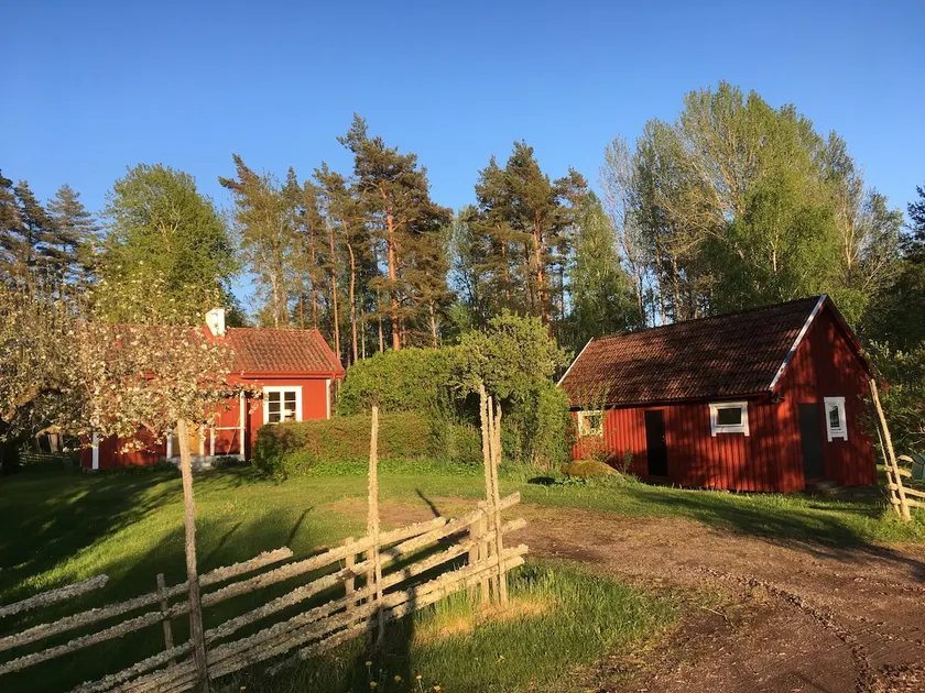 Cosy cottage close to the forest and bird reserve - Image 1