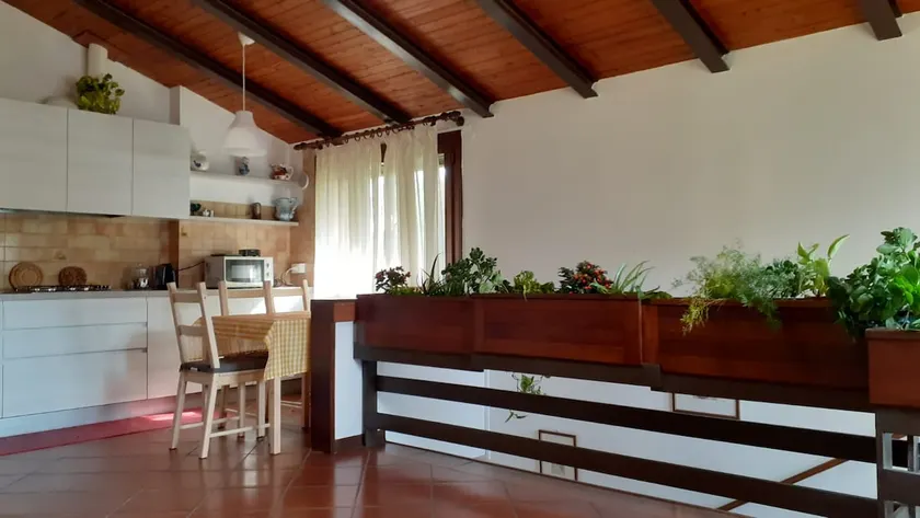 Casa Silver e Toni nice apartment in Padua - Image 1