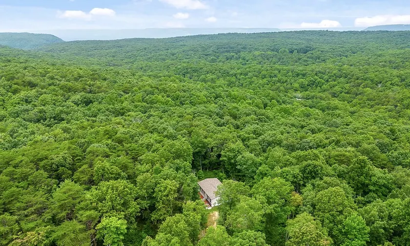 Laurel Pocket - 10 woodland acres near McLemore - Image 1