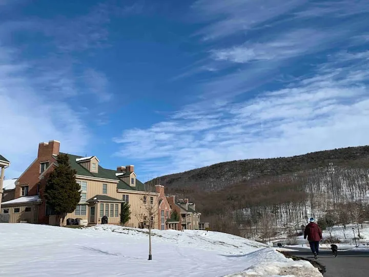 Gorgeous Mountain Home at Whitetail Resort - Image 1