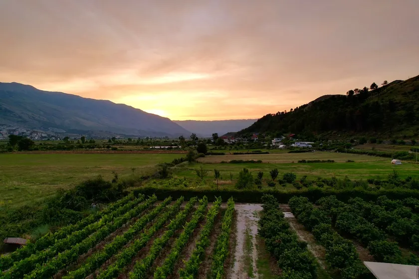 Bungalow in a Vineyard - Image 1