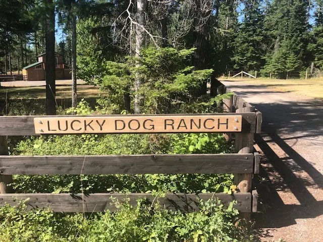 Lucky Dog Ranch - Image 1