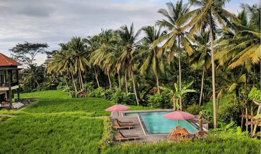 Perfect Peace at the edge of Rice Field Walk - Image 1