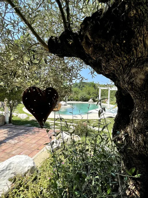 Studio with Pool View - Image 1