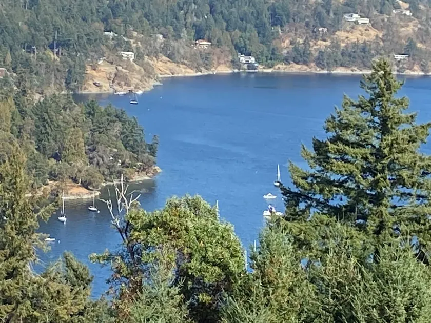 Bird's Eye View: Fire Tble/Covered Deck, Maple Bay - Image 1