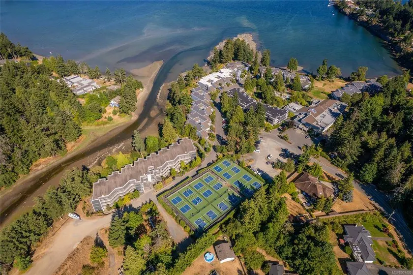 Pacific Shores Resort - Creekside Suites - 1 Bedroom - Oceanfront! - Image 1