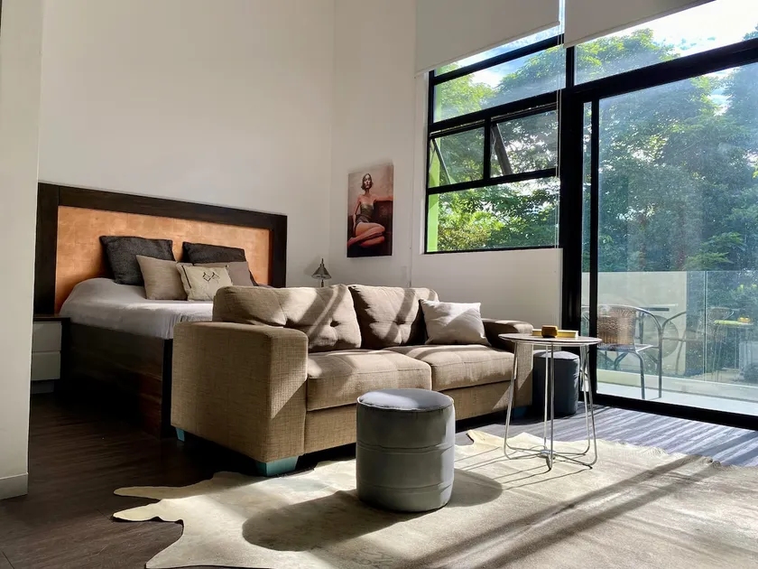 Artist Loft at Arborea Flats Santa Ana - Image 1