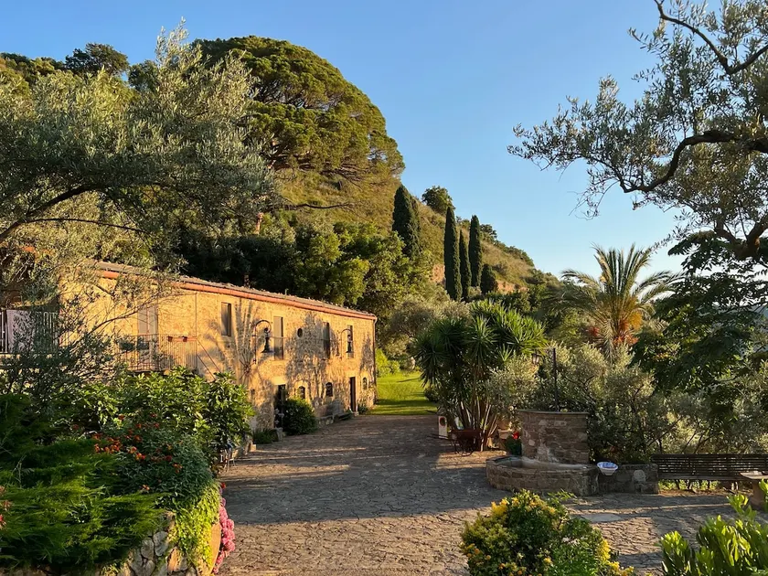 Villa surrounded by nature with heated pool - Image 1