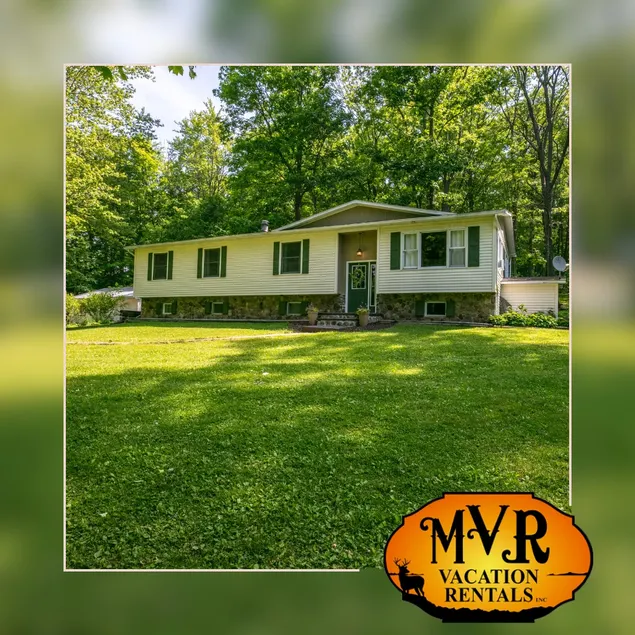 Hidden Haven on the Ding Dang; Pet- Friendly! - Image 1