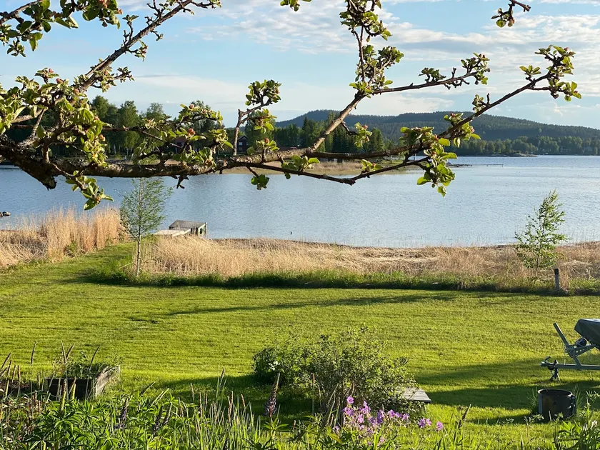 Nice cottage with sauna and private dock by the sea. - Image 1
