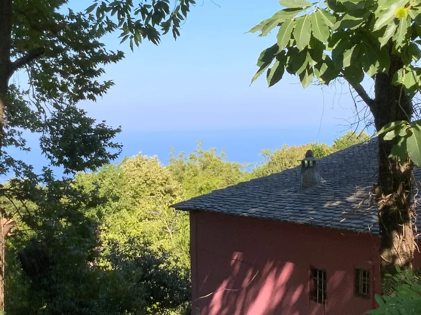 Pelion 7 Lives - Image 1