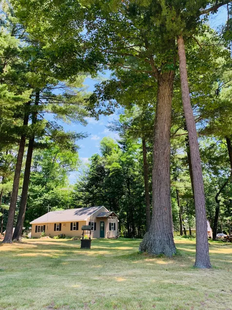 TOWERING PINES! Charming 2 bedroom cottage near lakes in WAUTOMA - Image 1